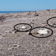 Three Magellanic penguin corpses found at Punta Tombo just after the Jan. 19, 2019 heat wave.
